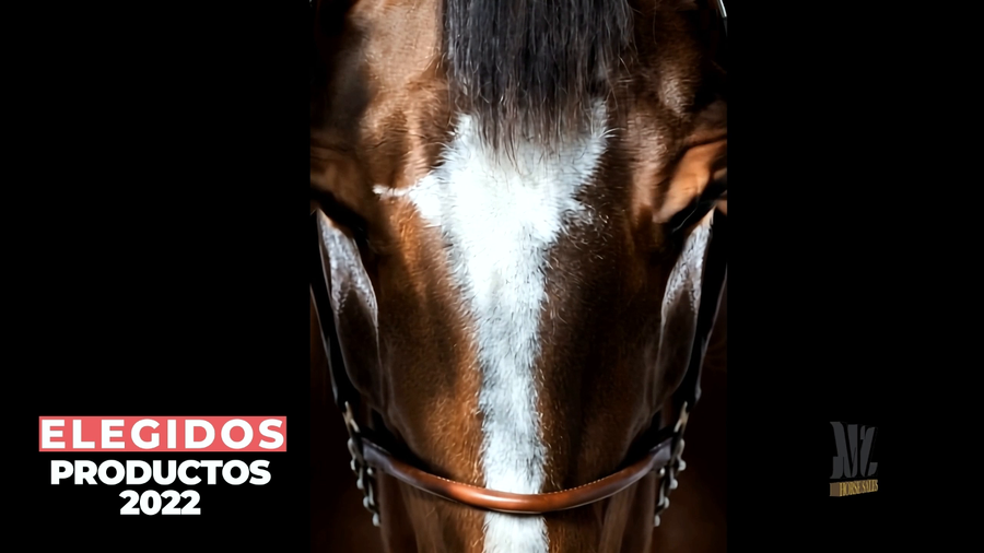 Lote RUBIA SUGESTIVA (SUGGESTIVE BOY -   MICHAUX  por  COSMIC)