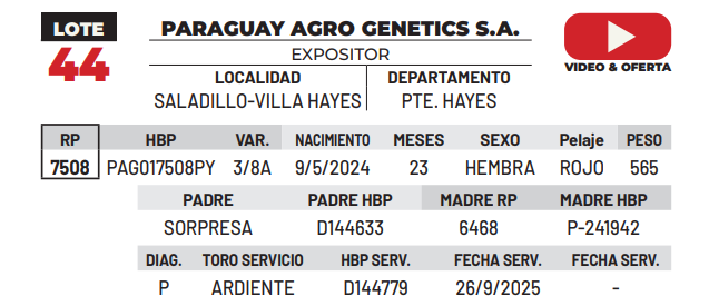 Lote LOTE 44 -DE CAMPO