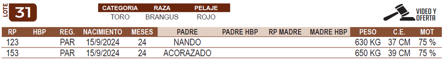 Lote LOTE 31