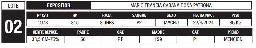 Lote LOTE 2