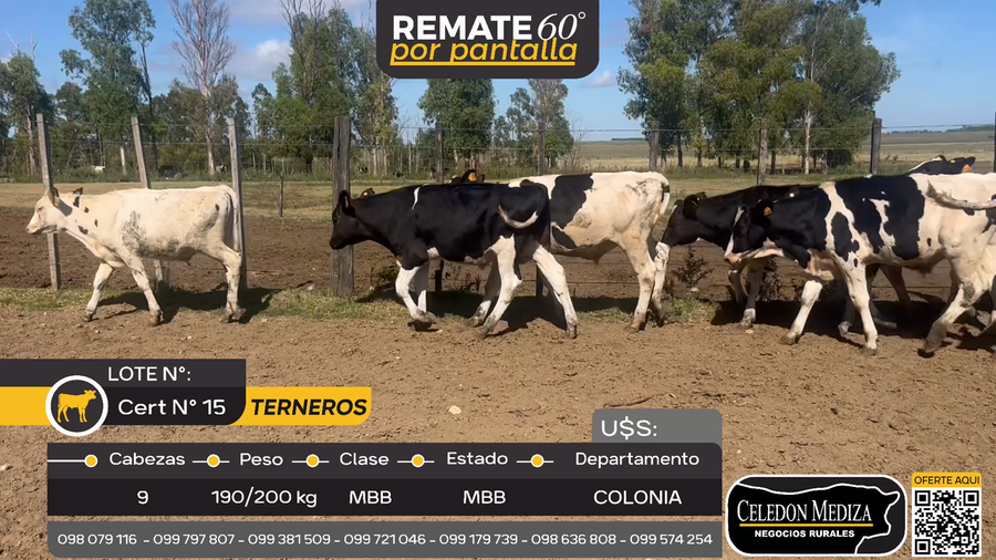 Lote 9 Terneros en Manantiales, Colonia