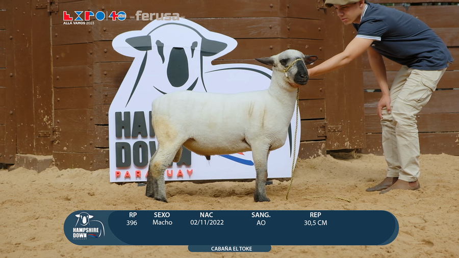 Lote LOTE 24 - BOZAL