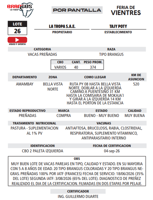 Lote LOTE 26 - POR PANTALLA