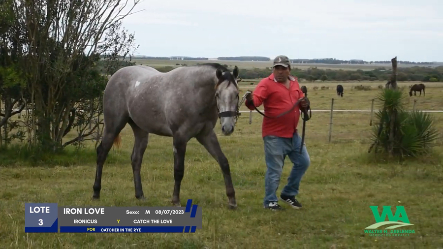 Lote IRON LOVE