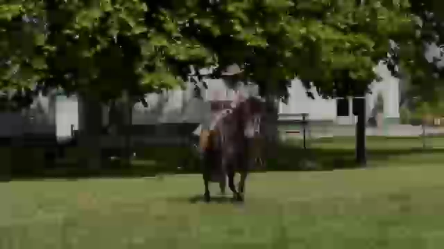 Lote Cañada Kibuena (RP 365) Cabaña "La Cañada"