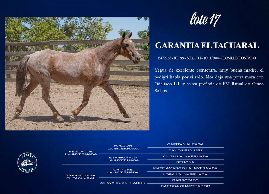 Lote Garantia El Tacuaral