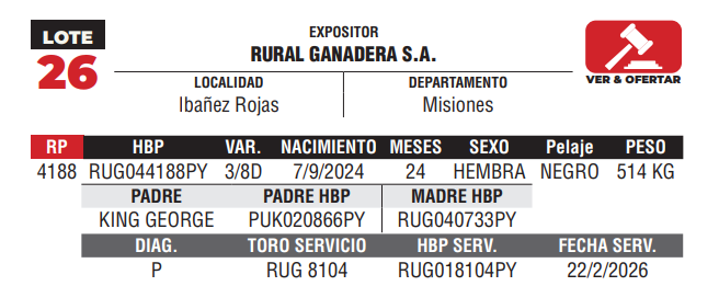Lote LOTE 26 - DE CAMPO