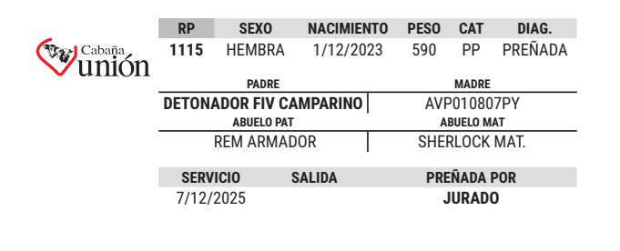 Lote LOTE 27