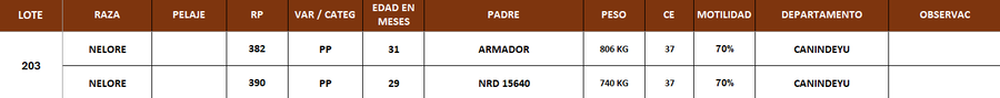 Lote LOTE 203 - POR PANTALLA
