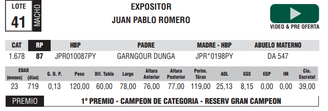 Lote LOTE 41