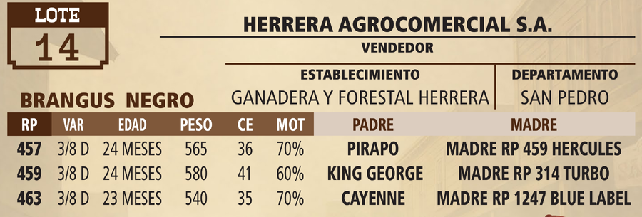 Lote LOTE 14 - VIVO