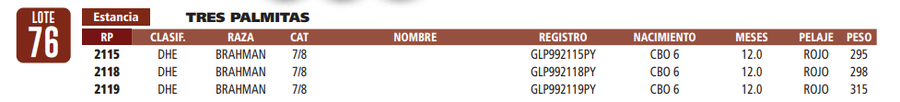Lote LOTE 76