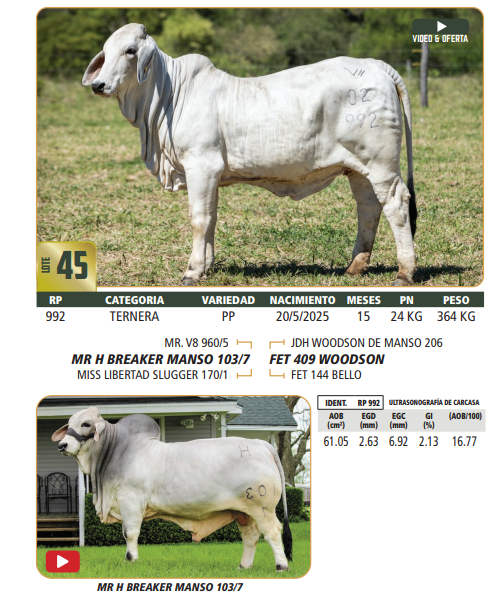 Lote LOTE 45