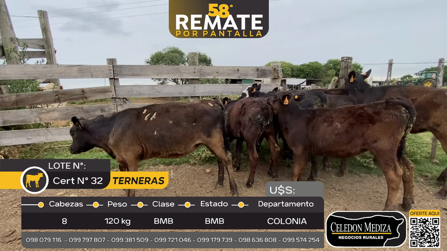 Lote 8 Terneras en Otra Localidad, Colonia