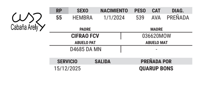 Lote LOTE 10