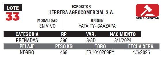 Lote LOTE 33- EN VIVO
