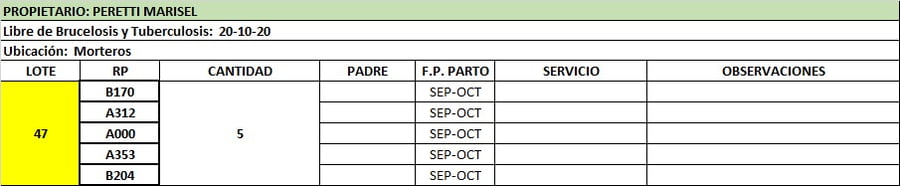 Lote Vaquillonas preñadas