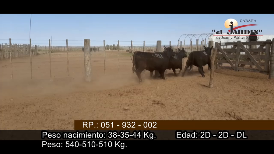 Lote VAQUILLONAS PREÑADAS PARICION OTOÑO