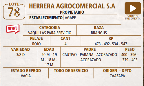 Lote LOTE 78 -EN VIVO