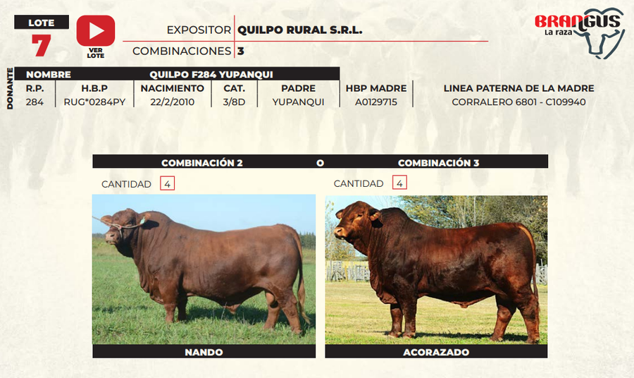 Lote LOTE 7