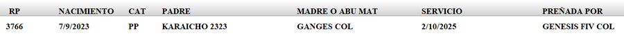 Lote LOTE 22