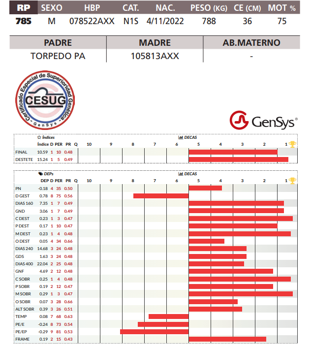 Lote LOTE 31