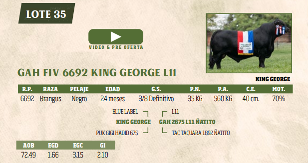 Lote LOTE 35