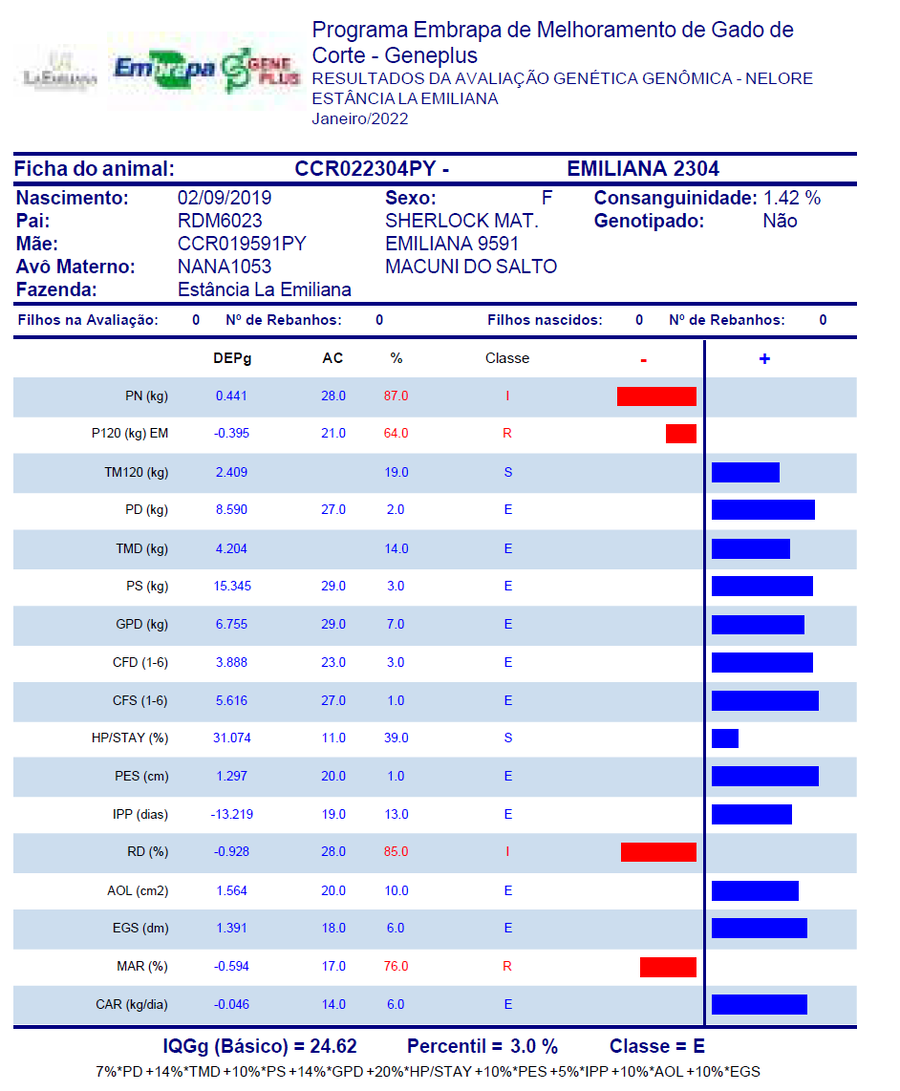 Lote Nacional Nelore Campo - Lote 8
