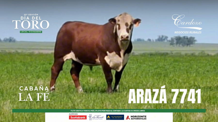 Lote Cabaña de la fe - Braford