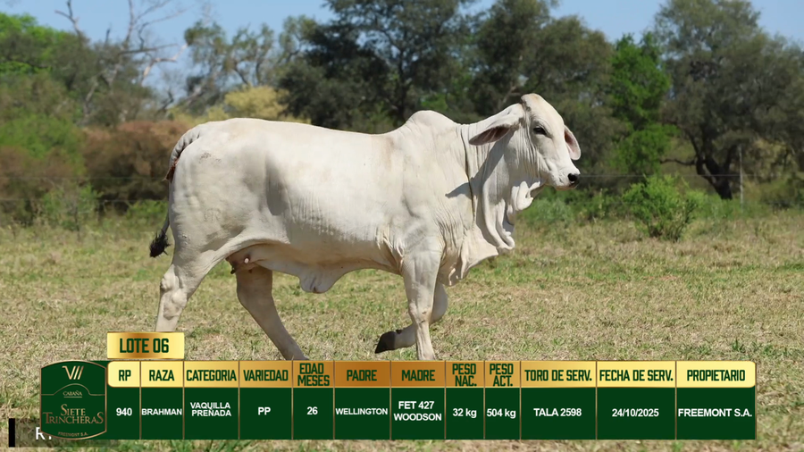 Lote LOTE 6