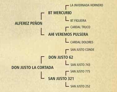 Lote Dinga la higuera