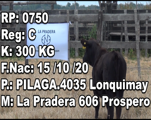 Lote PRADERA 0750