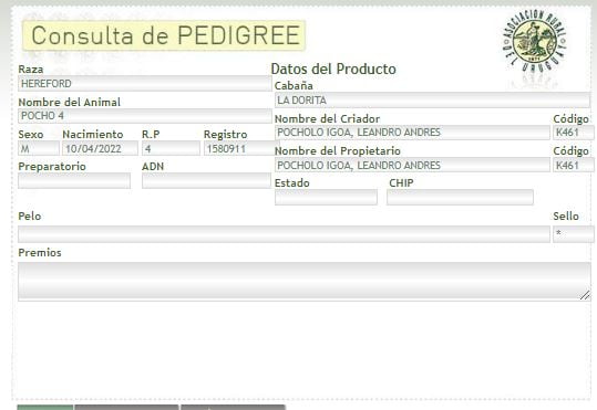 Lote TORO PI - RP 04