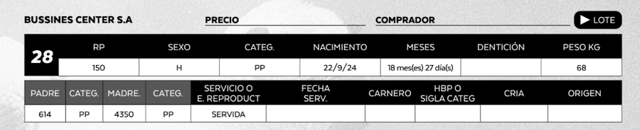 Lote LOTE 28