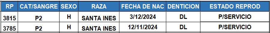 Lote LOTE 35