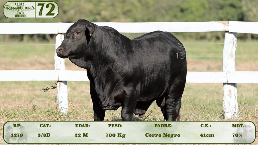 Lote LOTE 72