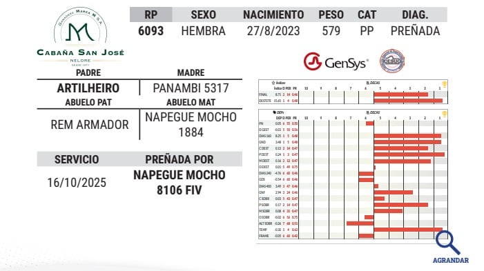 Lote LOTE 28