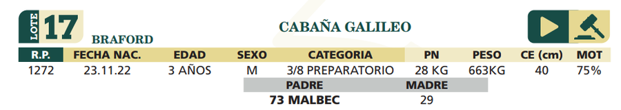 Lote LOTE 17