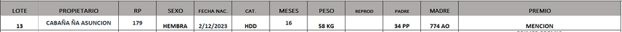 Lote LOTE 13