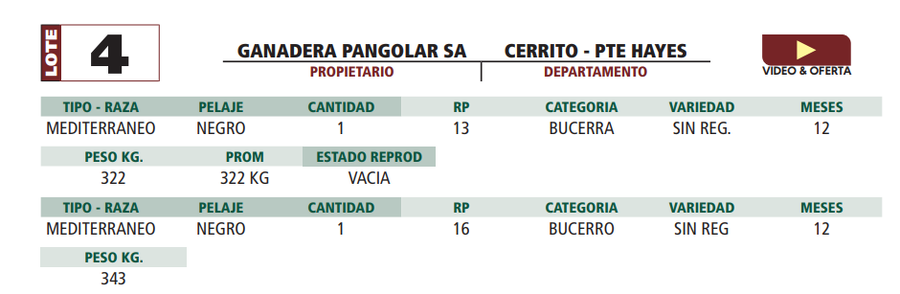 Lote LOTE 4