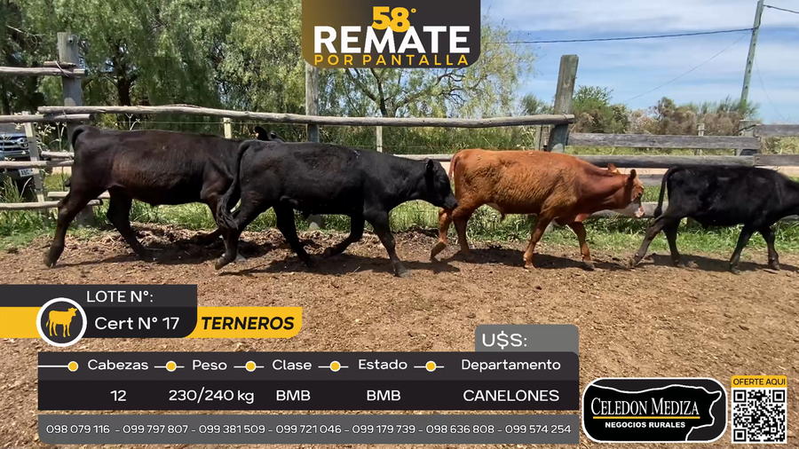 Lote 12 Terneros Paso del Bote, Canelones