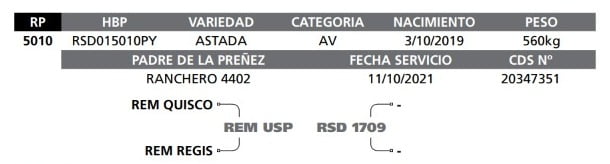 Lote LOTE  46 RP 5010