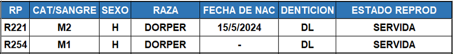 Lote LOTE 37
