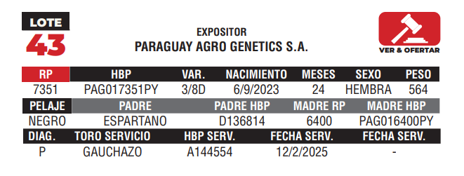 Lote LOTE 43 - CAMPO