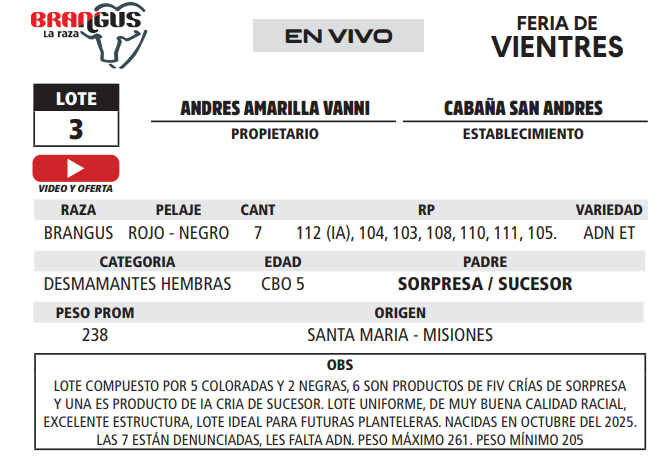 Lote LOTE 3 - EN VIVO