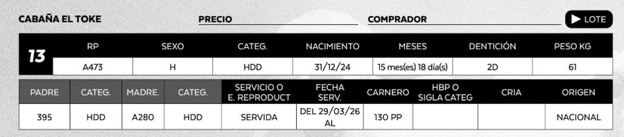 Lote LOTE 13
