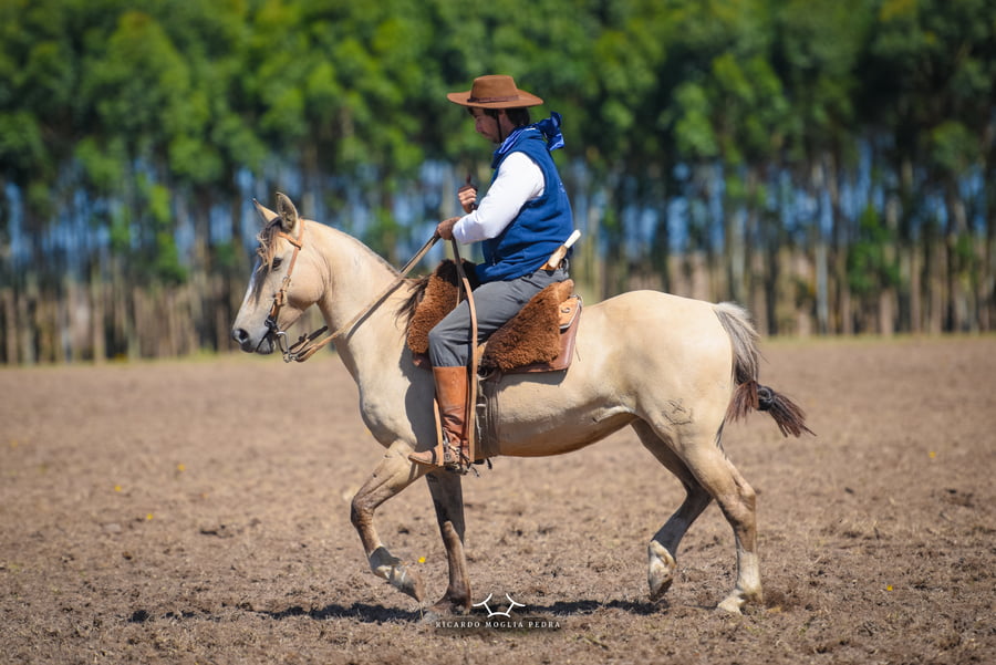 Lote RP 103 - Escarcha