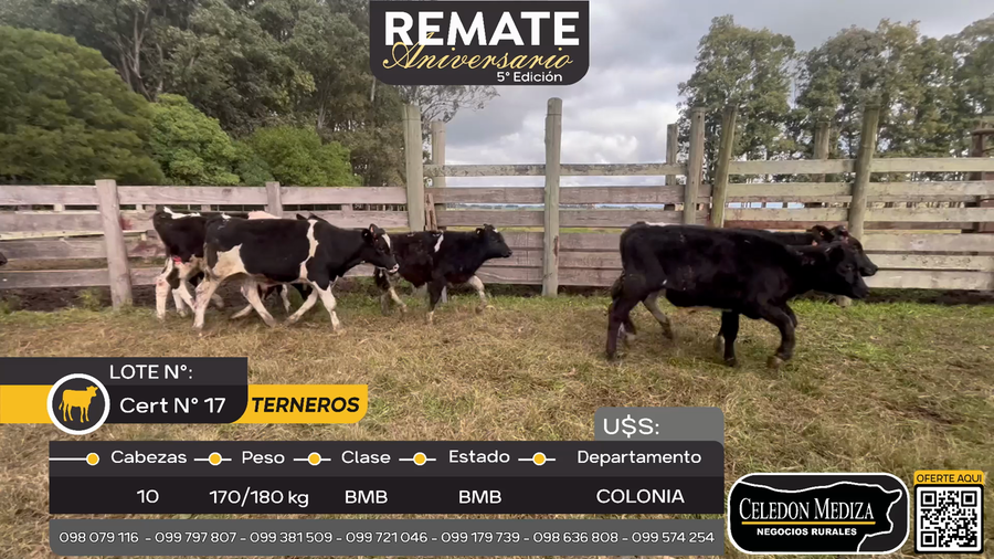 Lote 10 Terneros en Quintón, Colonia
