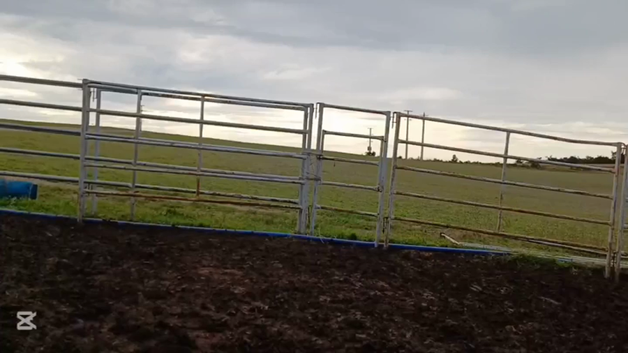 Lote VACAS/VAQUILLONAS INVERNADA