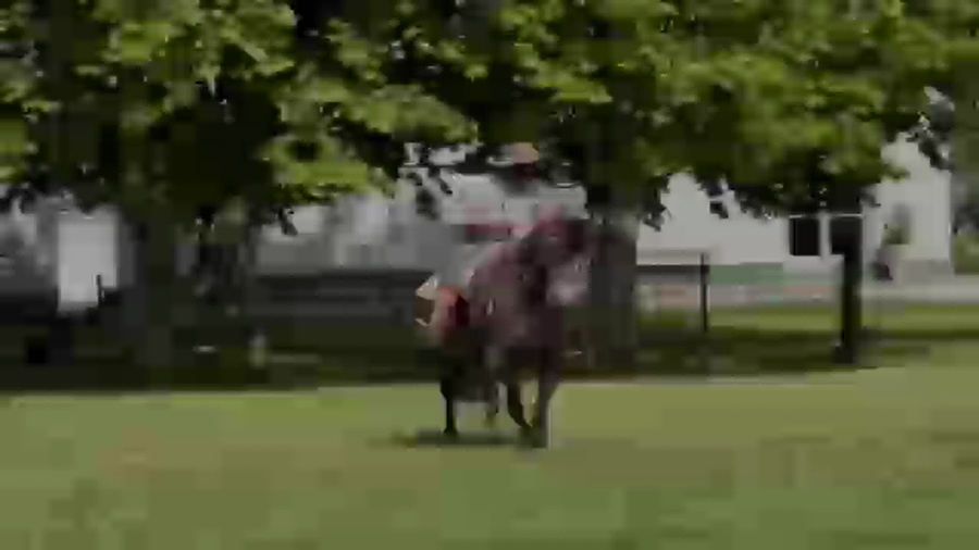 Lote Cañada Media Luna (RP 405) Cabaña "La Cañada"